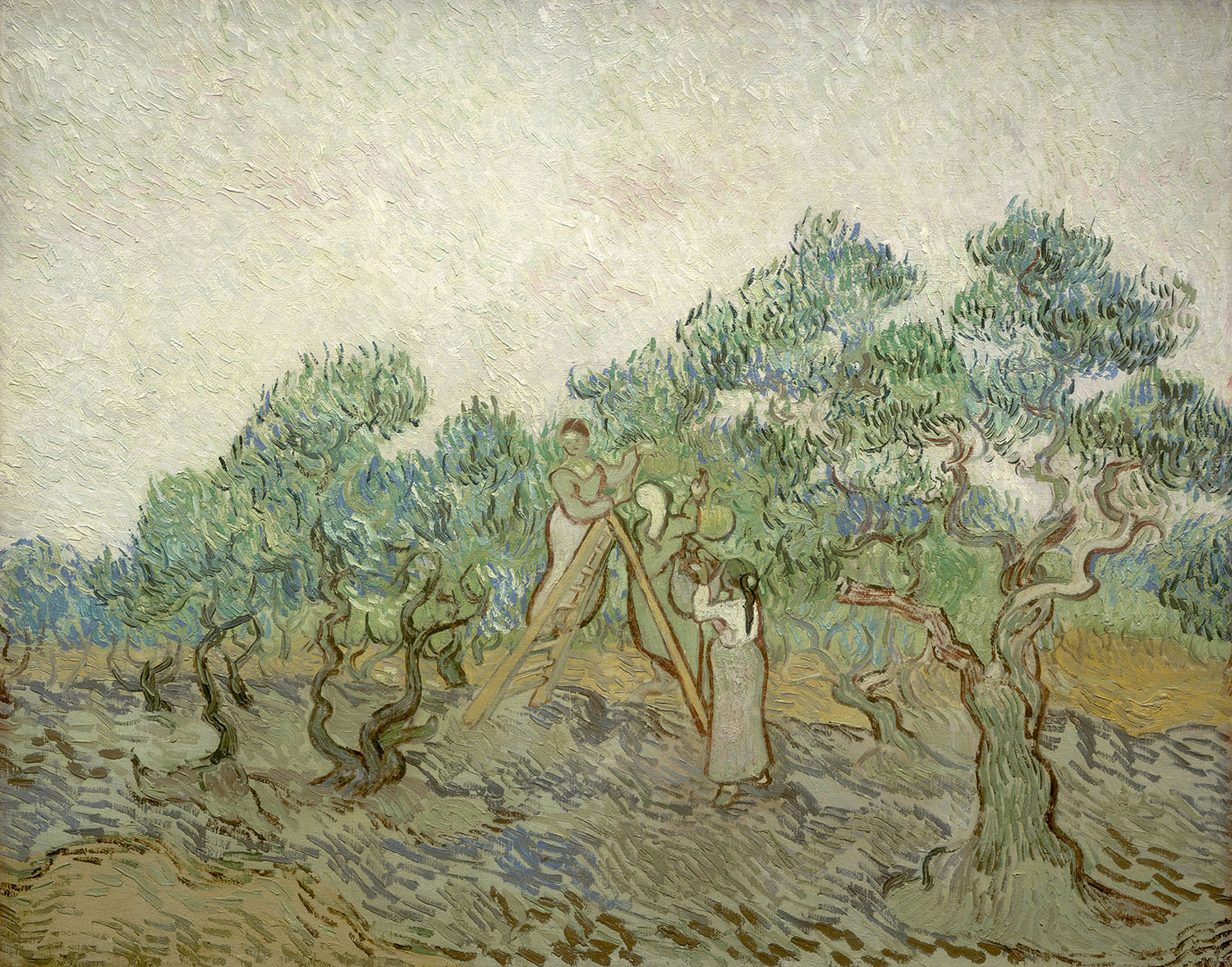 Винсент Ван Гог. "Оливковый сад". 1889. Национальная галерея искусств, Вашингтон.